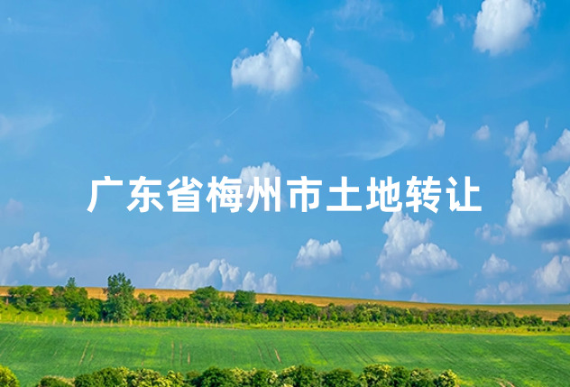 广东省梅州市土地转让