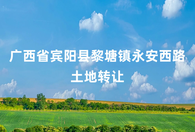 广西省宾阳县黎塘镇永安西路土地转让