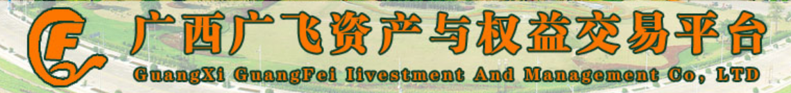 广西广飞投资管理有限公司