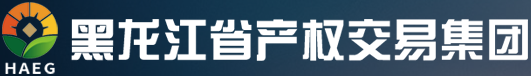 黑龙江省产权交易集团