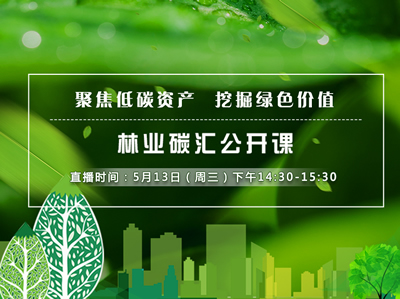 公开课：生态资产价值变现与林业碳汇项目开发