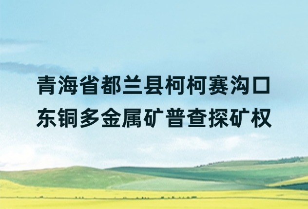 青海省都兰县柯柯赛沟口东铜多金属矿普查探矿权